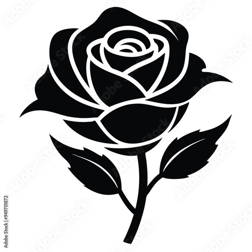 Rose Flower Silhouette Vector illustration on white transparent background