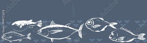Set of hand draw sea food products. Marine fish. Bluefin tuna, Puffer, red seabeam round, grunt, golden snapper fish illustration in vintage style. Cooking delicatessen ingredients. Seafood of Japan