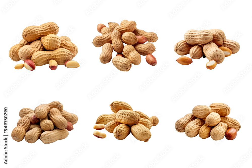 Peanuts Collection Bundle Set Isolated on a Transparent Background Peanuts Collection Bundle Set Isolated on a Transparent Background