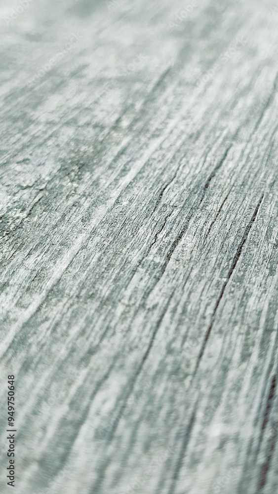 Fototapeta premium Gray wooden background with old grunge boards, table background or planks. Space for text