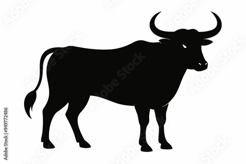 A Bull vector illustration