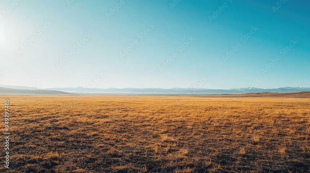 Open plain with a distant horizon under a bright, clear sky, emphasizing a sense of freedom and limitless potential. Open plain with a distant horizon under a bright, clear sky, emphasizing a sense of freedom and limitless potential.