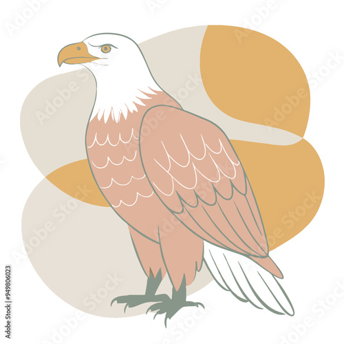 Eagle vector art and design.