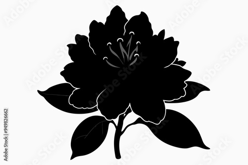  Rhododendron flower silhouette black vector art illustration photo