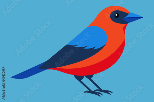 Splendid tanager bird vector art illustration