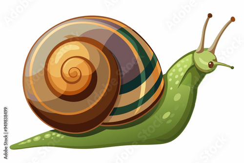 Snail vector color illustration