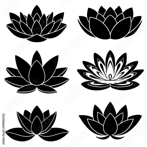 Water Lily Flower Silhouette Black Vector