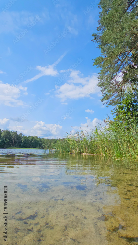 Obraz premium Serene Lake View with Clear Blue Skies and Lush Greenery