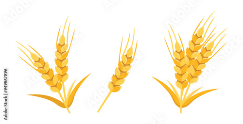 collection of wheat plants in flat style on white background 