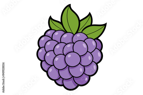 A blackberry for coloring book vector art illustration photo