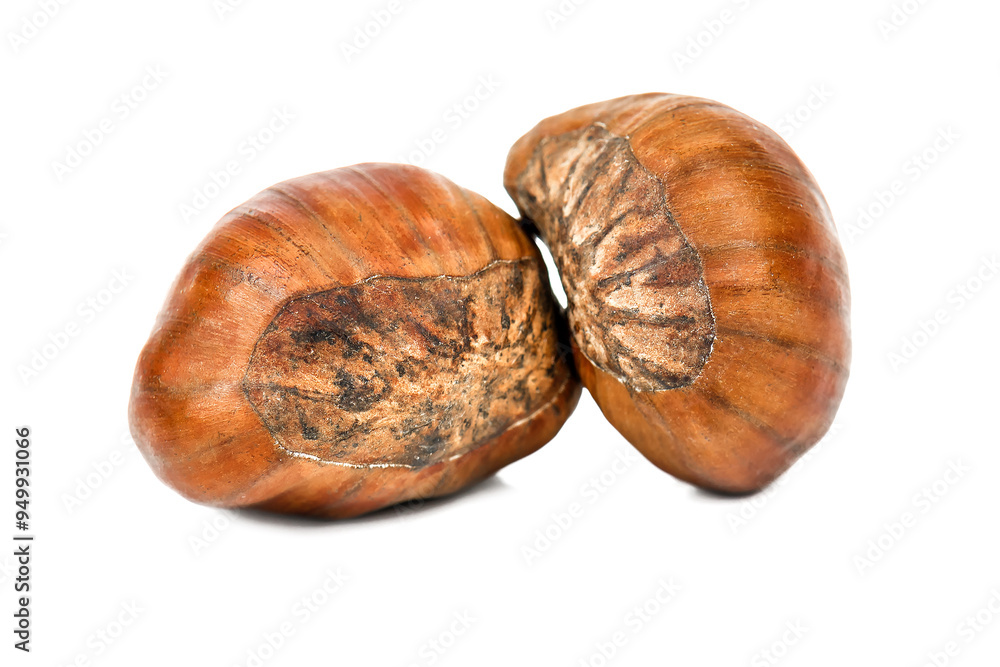 Two ripe chestnut on white background Two ripe chestnut on white background