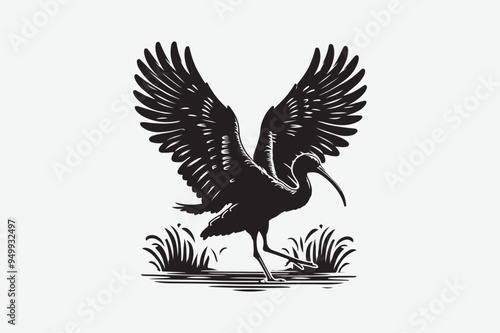 Heron Bird vector art and illustration photo