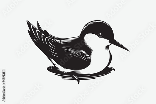 Sparrow  Bird vector art and illustration photo