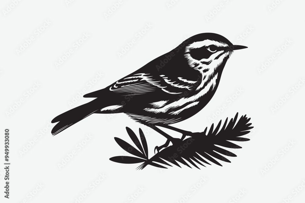 Obraz premium Sparrow Bird vector art and illustration