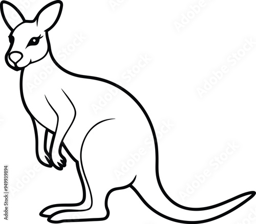 Wallaby Kangaroo vector art