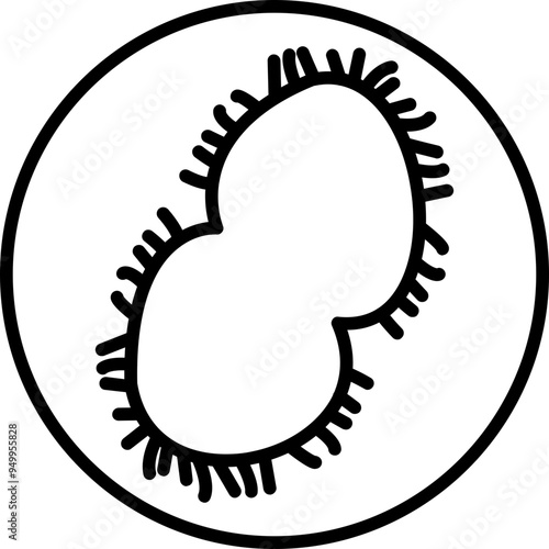 Neisseria meningitidis Icon