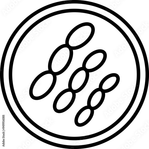 Haemophilus ducreyi Icon