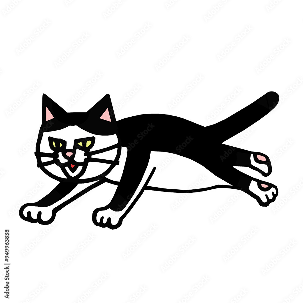 ハチワレネコ イラスト ハチワレネコ イラスト