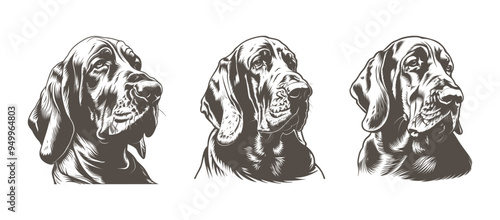 Bloodhound clipart design illustration