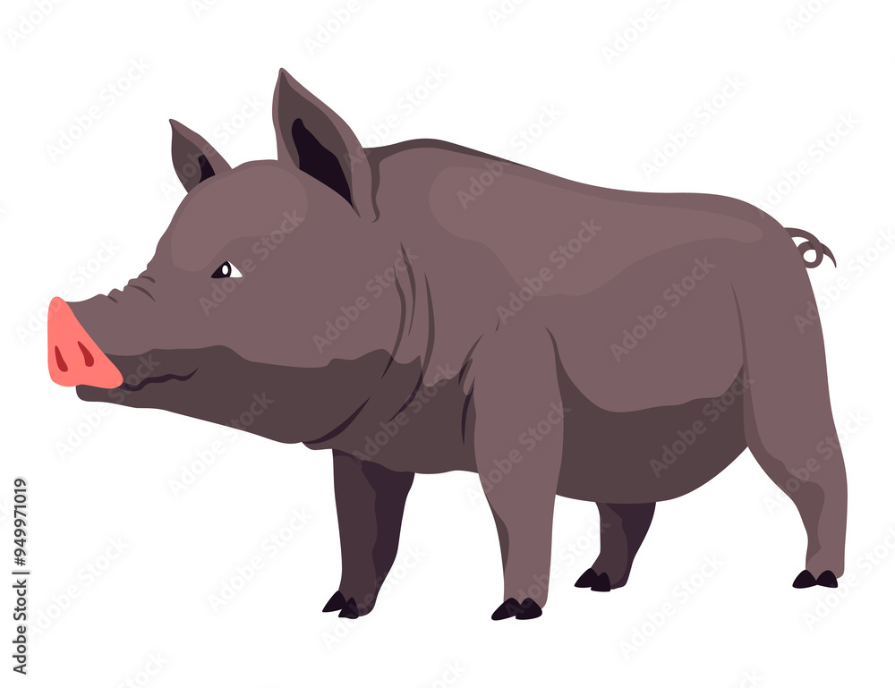 Obraz premium Pig set flat cartoon isolated on white background. Black pig illustration
