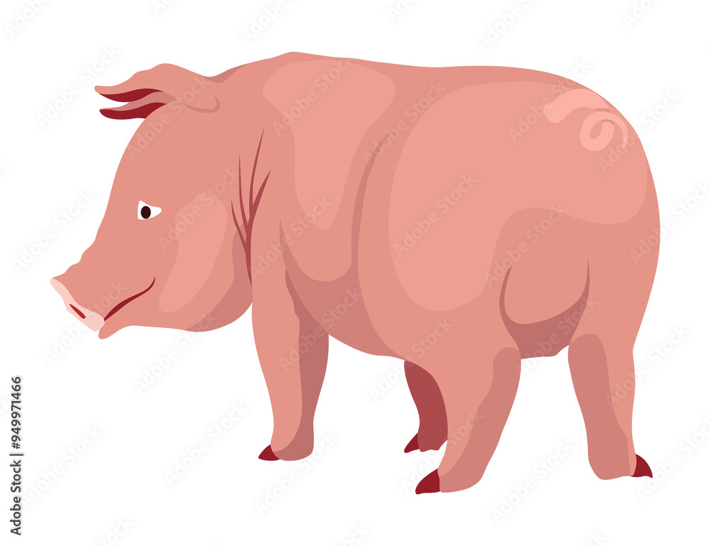 Pig set flat cartoon isolated on white background. Pink pig illustration Pig set flat cartoon isolated on white background. Pink pig illustration