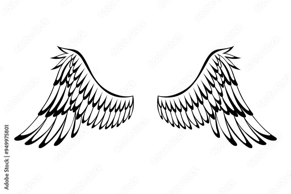 Obraz premium Wings sketch. Stylized birds wings. Hand drawn contoured stiker wing in open position. Vector design elements in coloring style