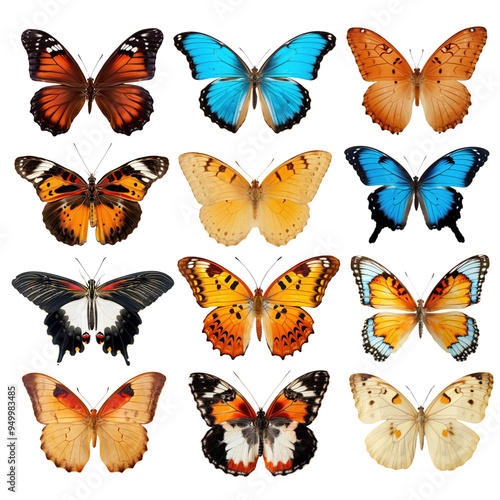 PNG vibrant butterfly design element set, transparent background