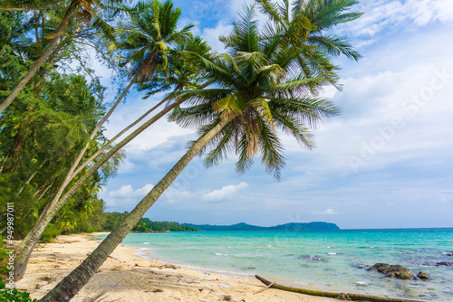 Fototapeta Naklejka Na Ścianę i Meble -  Coconut palm tree on sea beach against blue sky with cloud