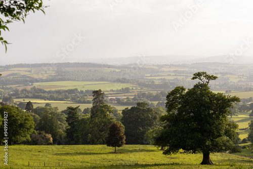 landscape with trees in England