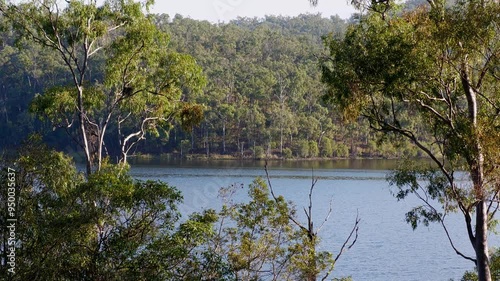 river bush riverside rural scenery, Queensland Australia, countryside, tranquil water flow flowing, eucalypt gum trees forest, relax relaxation idyllic holiday escape