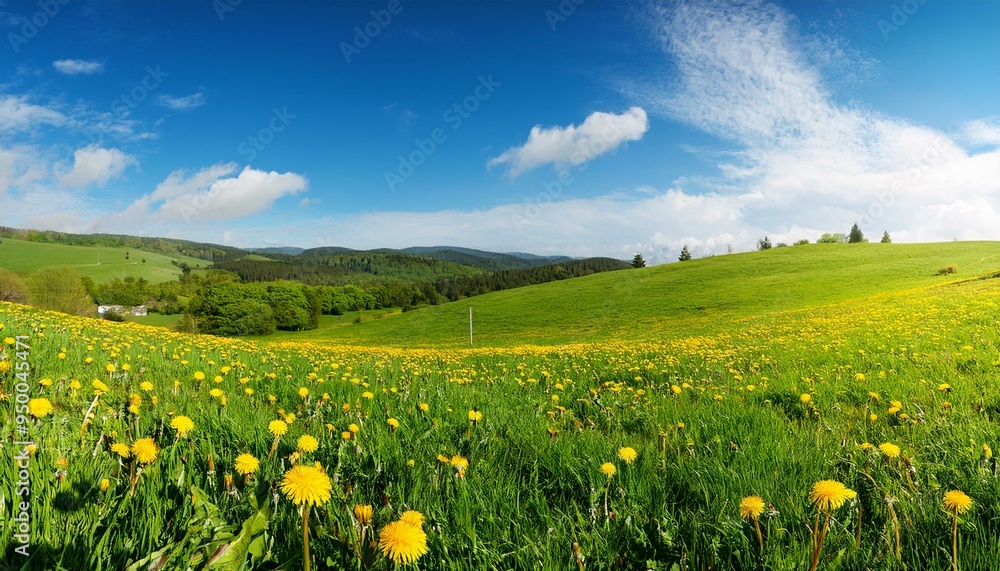 Green field with yellow dandelions and blue sky. Panoramic view to grass and flowers on the hill on sunny spring day Green field with yellow dandelions and blue sky. Panoramic view to grass and flowers on the hill on sunny spring day