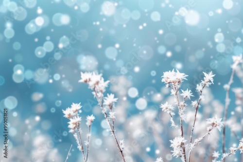 A field of snow covered plants with a blue sky in the background