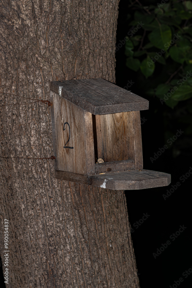 Close-up of a wooden bird feeder attached to a tree trunk with wire, featuring a small porch and cover, captured in the evening.
Close-up of a wooden bird feeder attached to a tree trunk with wire, featuring a small porch and cover, captured in the evening.