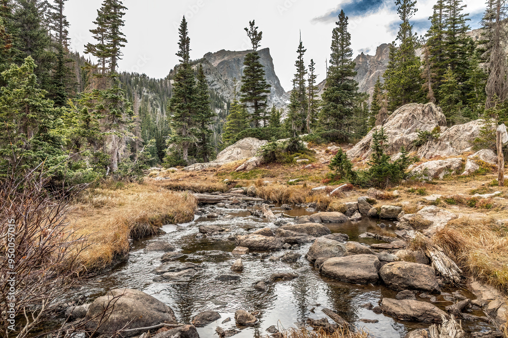 Creek in the Rocky Mountains National Park, Colorado Creek in the Rocky Mountains National Park, Colorado