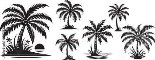 palm tree silhouette and beach view.
