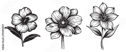  Hand-drawn floral designs in woodcut style, black and white vector illustration of flowers