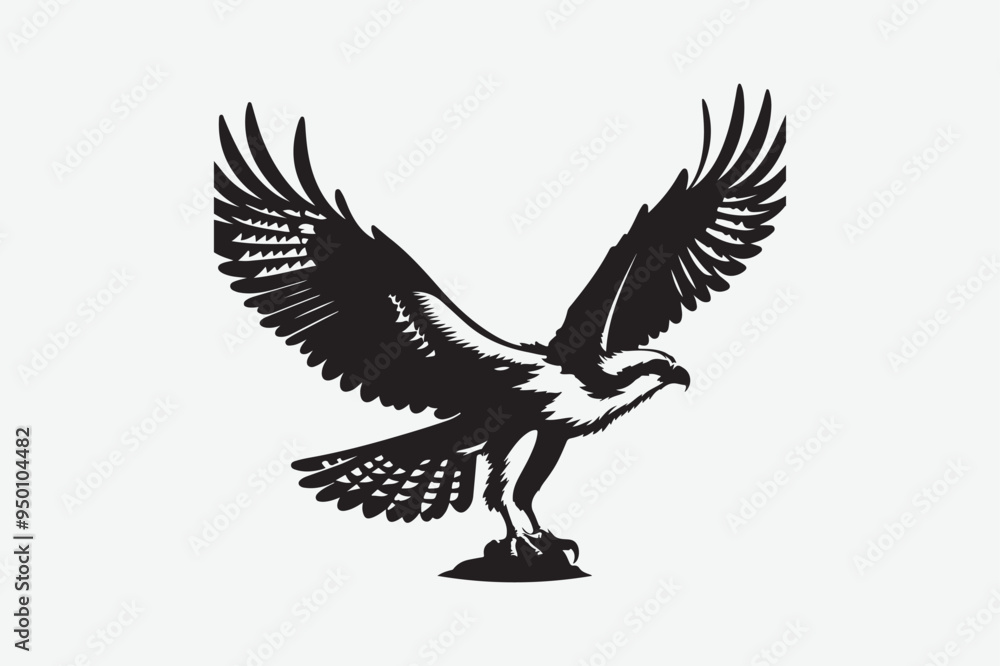 Fototapeta premium Eagle Bird vector art and illustration