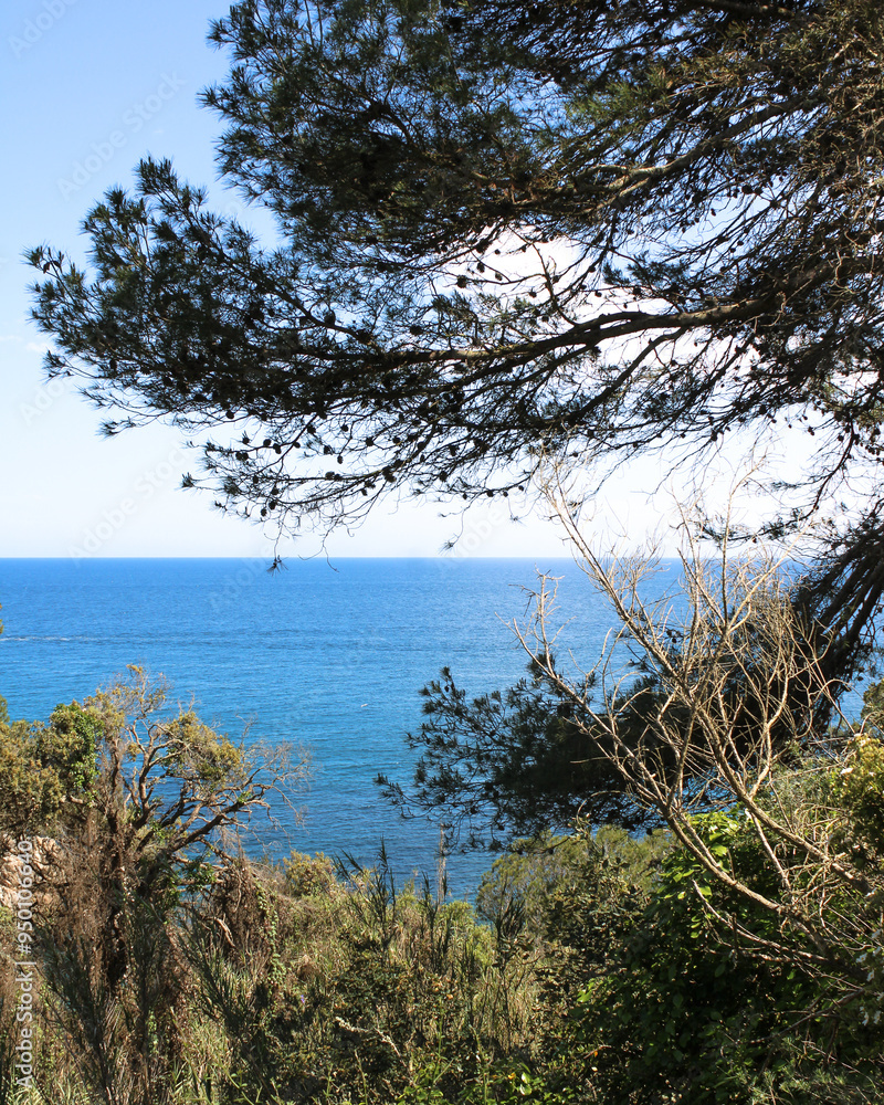Discover the Hidden Gems of Spain’s Stunning Costa Brava Coastline Discover the Hidden Gems of Spain’s Stunning Costa Brava Coastline