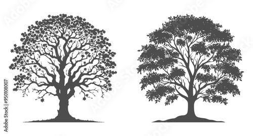 Banyan tree black silhouette set, isolated on white background.  Forest tree with leaves vector logo.