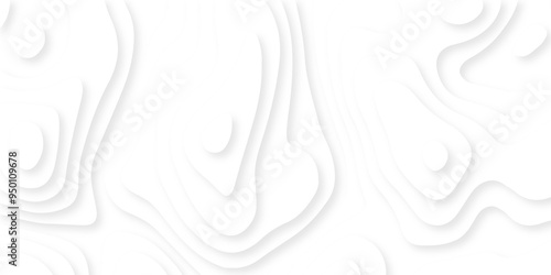 Abstract luxury white modern 3d papercut, topography map circle and wave line smooth multilayer pattern. vector white art papercut design Topographic geometric map relief texture with curved layers.