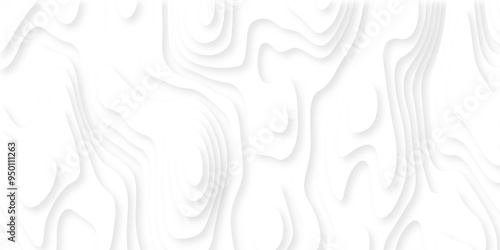 Abstract luxury white modern 3d papercut, topography map circle and wave line smooth multilayer pattern. vector white art papercut design Topographic geometric map relief texture with curved layers.