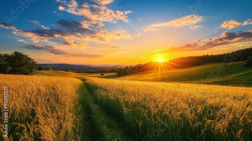 Golden Grass Field at Sunset with a Path and Trees in the Background