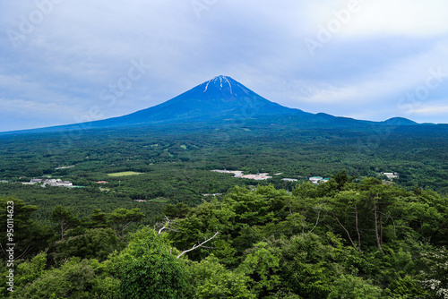 【山梨県】新緑の青木ヶ原樹海と富士山の風景