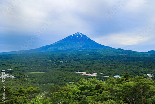 【山梨県】新緑の青木ヶ原樹海と富士山の風景