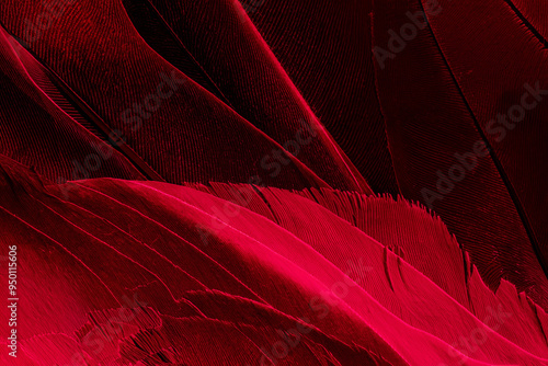 Macro Shot of Blue Pigeon Feather - Texture or Background photo