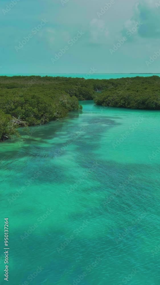 Embark on an enchanting voyage through the lush mangrove forests of the tropics. Our aerial footage captures the breathtaking beauty of this unique ecosystem, where emerald-green waters embrace the Embark on an enchanting voyage through the lush mangrove forests of the tropics. Our aerial footage captures the breathtaking beauty of this unique ecosystem, where emerald-green waters embrace the