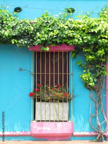 colorful window with flowers, Colombia