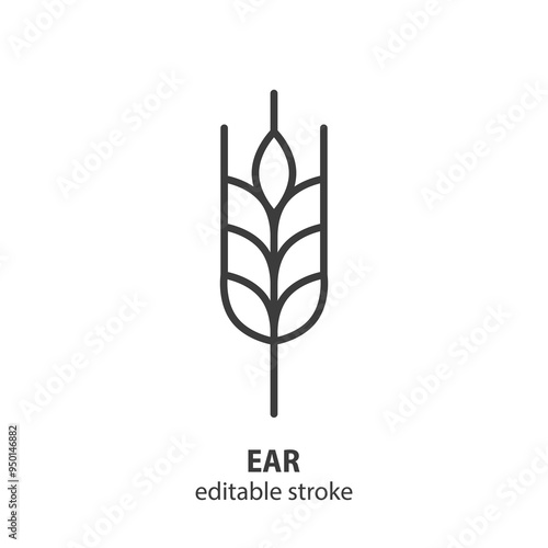 Ear of wheat line icon. Vector illustration. Editable stroke.
