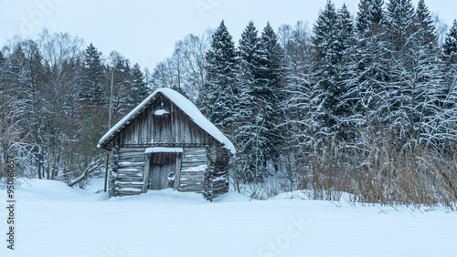 A small old log barn in the middle of a snowy winter field in the village. There are snow-covered trees behind the old barn. Landscape in winter in the countryside