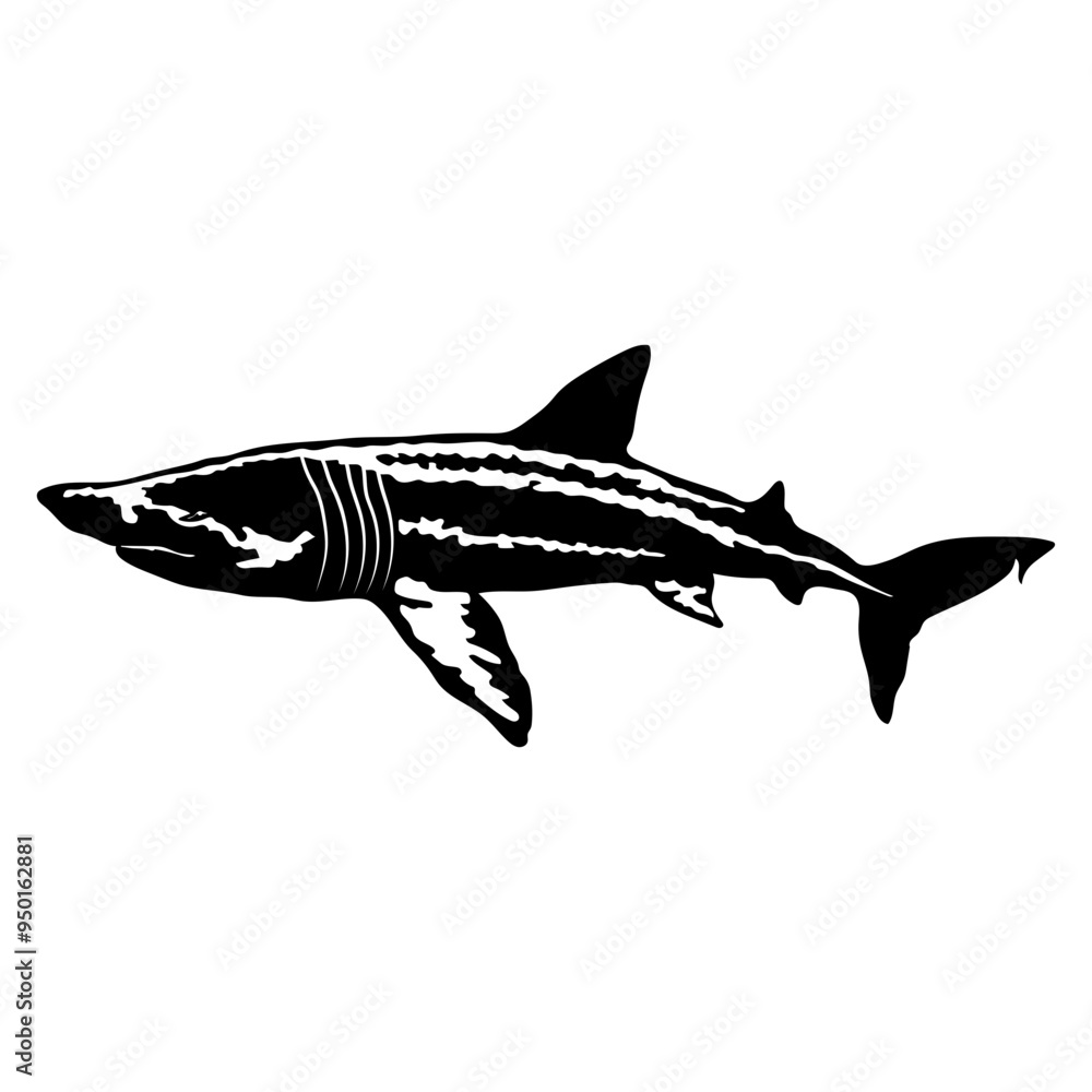 Obraz premium Basking Shark